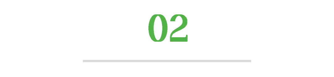 02.png